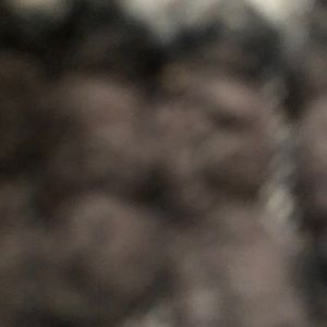 Meet your Posher, Faith